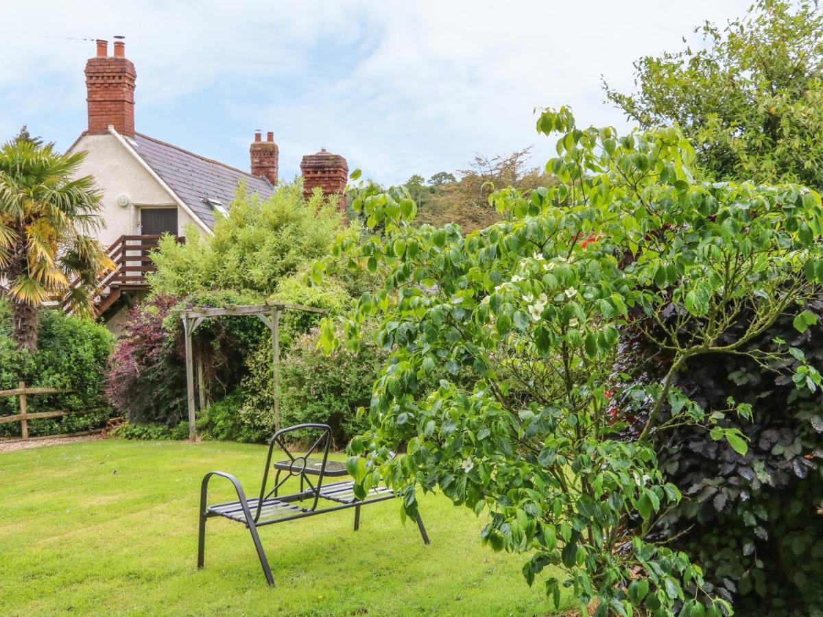 Fig Trees - Wibble Farm Apartment Williton ภายนอก รูปภาพ